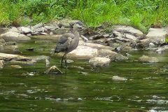 20250731_102839-1-scaled