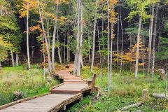 20250917_1618312-walkway-scaled