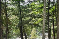 20250917_163939-river-scaled