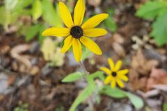 20250917_164316-scaled