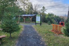 20251015_161208-shelter-scaled