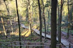 20251028_100119-boardwalk-scaled