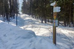 20260219_110726-scaled