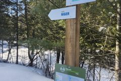 20260219_112907-scaled