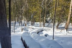 20260219_113624-scaled