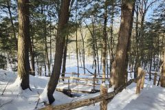 20260219_114130-scaled