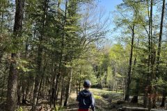 IMG_4106-jeune-marcheur-scaled