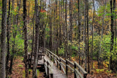 Copy-of-20231011_105843-EDIT