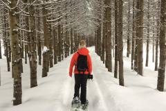 Credit – Christelle B. 