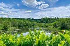 Credit – Joanne M. 