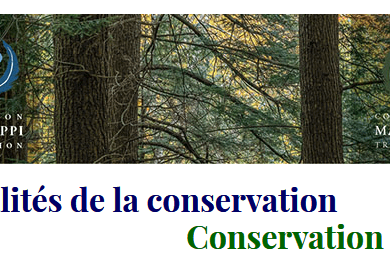 massawippi-newsletter