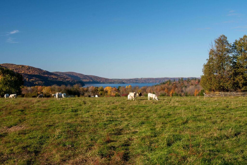 Le prix du leadership agroenvironnement à la ferme