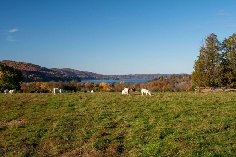 Farm-Photo-EVB-scaled