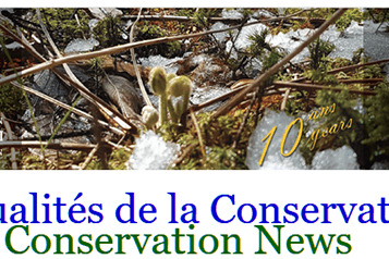 MFM-masthead-Spring-2021