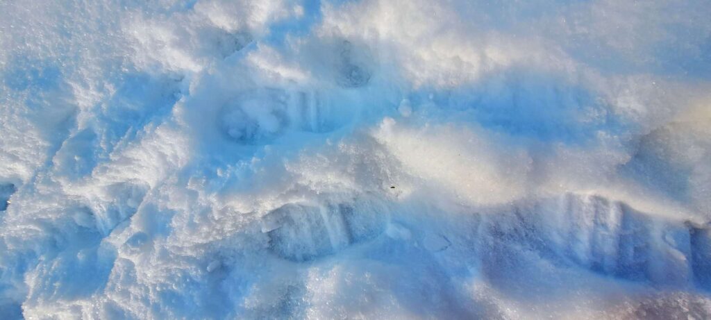 PROFITEZ DE LA NATURE SUR LA POINTE DES PIEDS AVEC LE CODE SANS TRACE