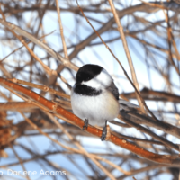 326817e5-26b5-57da-f93c-c6d62f246c74