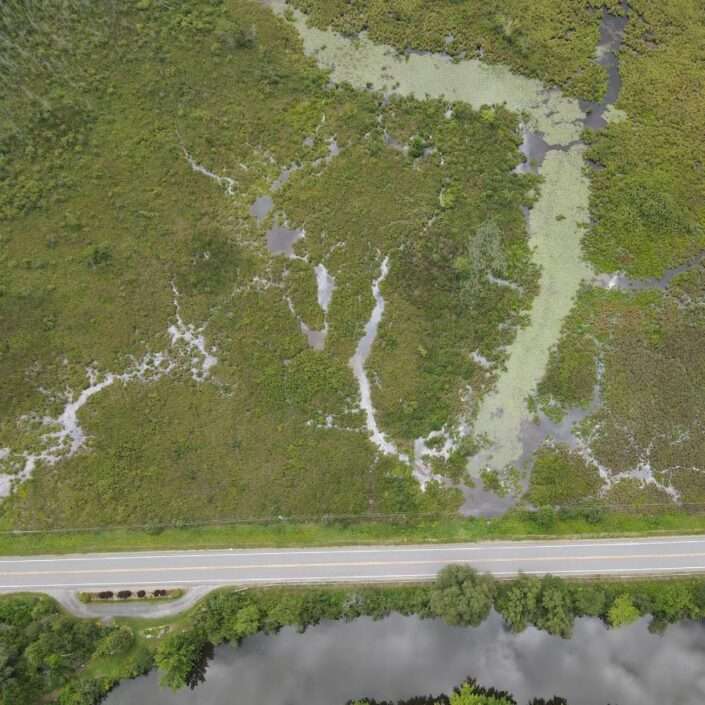 Les zones humides sont un remède naturel pour les lacs canadiens malades