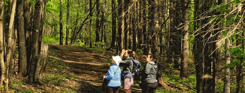 Ladies birdwatching