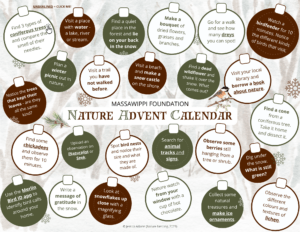 Calendrier de l'Avent de la nature