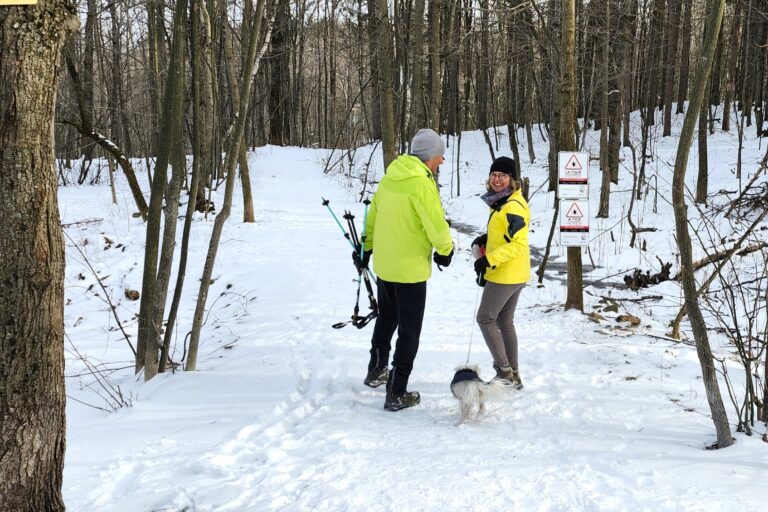 20240322_wardman walkers dog