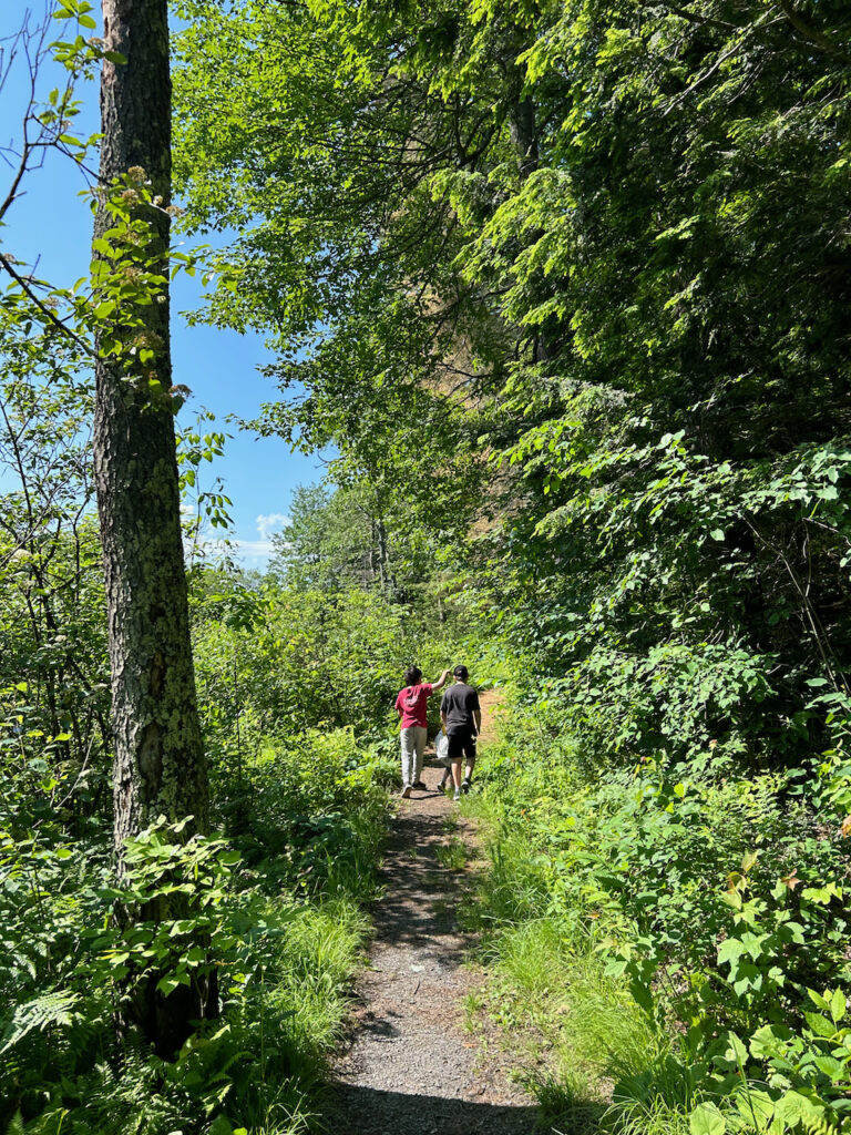 Les choses à faire et à ne pas faire en nature | Partie 1 : Honorer le sentier