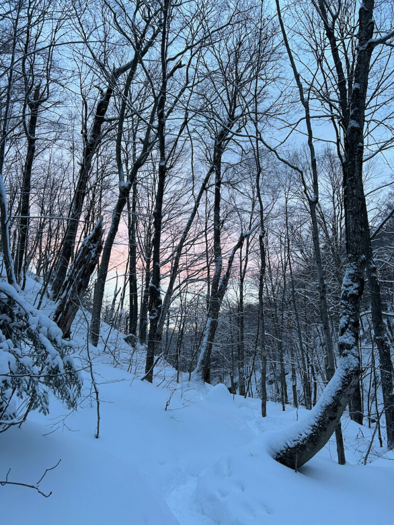 Les résolutions du Nouvel An et la nature