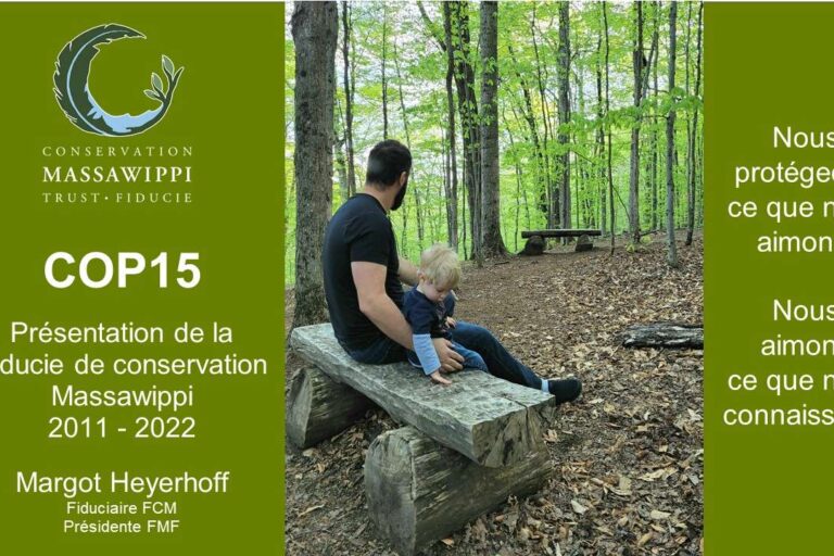 COP15-MCT-PP-cover-for-website