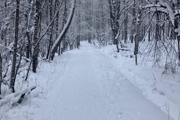 Take a hike Picture1