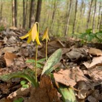 Take a hike Picture3