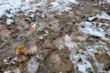 Muddy trail Matthew Photo 2