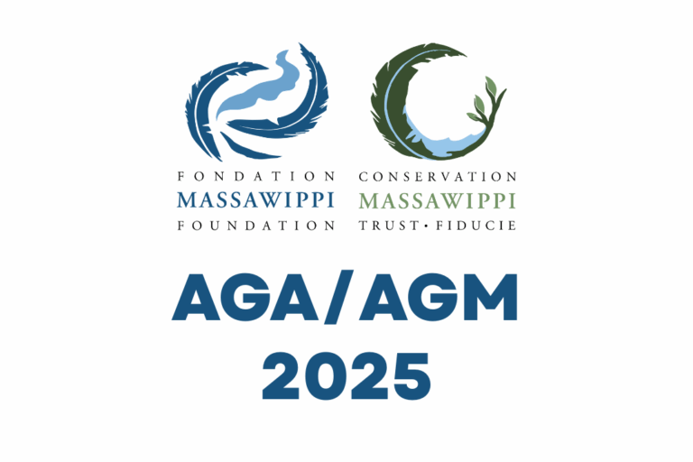 GT Campaign 2024 (10)