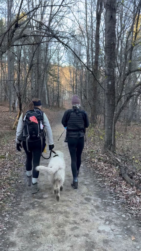 Reflections on Some Common Nature “Do’s and Dont’s” | Part 3: Our Canine Hiking Companions