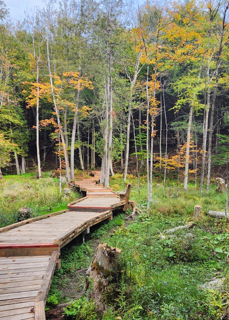 Burroughs Falls Park: Building Trails with Care