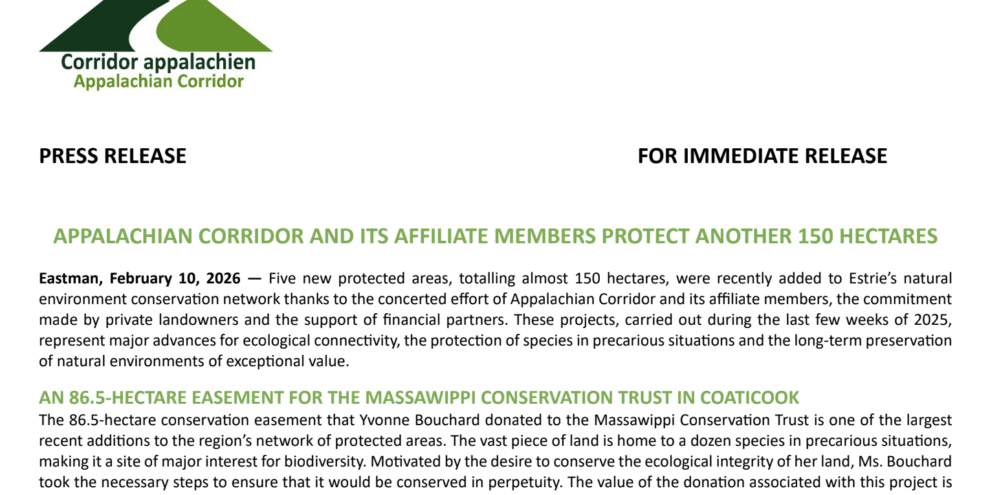 Screenshot 2026-02-22 at 11.49.25 p.m.