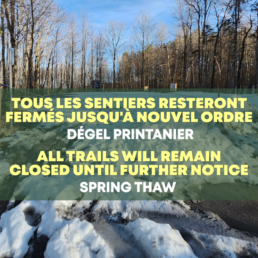SPRING THAW